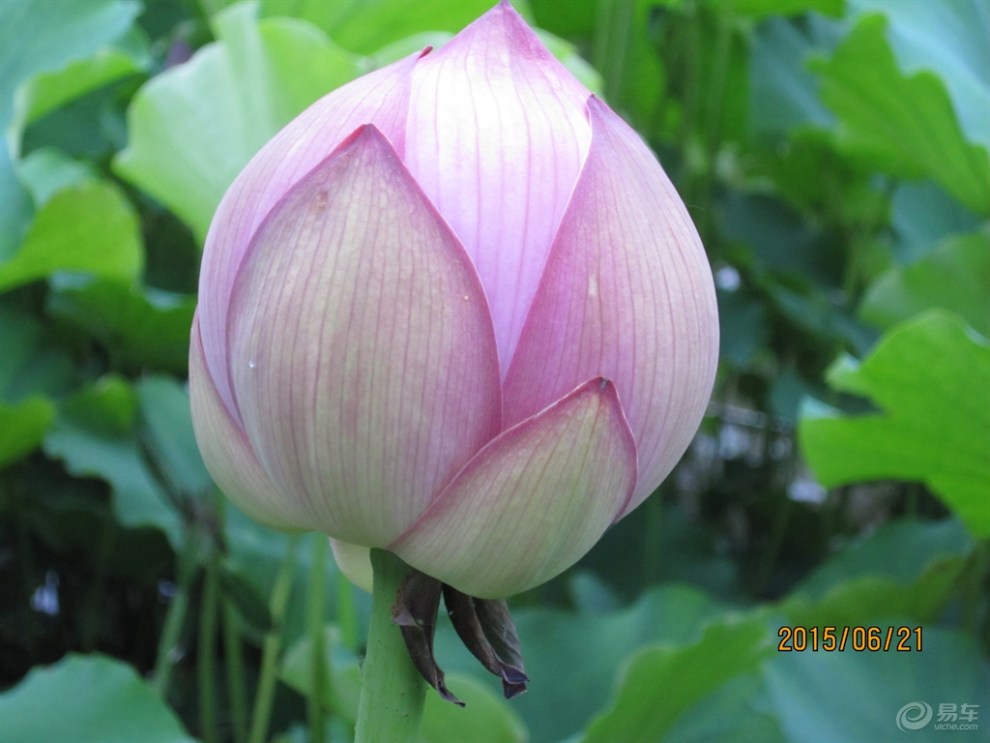 【高铁出游的吃处住处买处】_山东论坛图片集