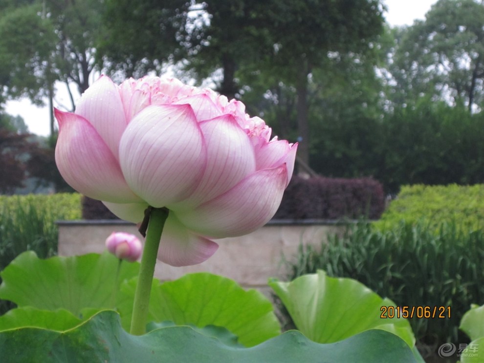 【高铁出游的吃处住处买处】_山东论坛图片集