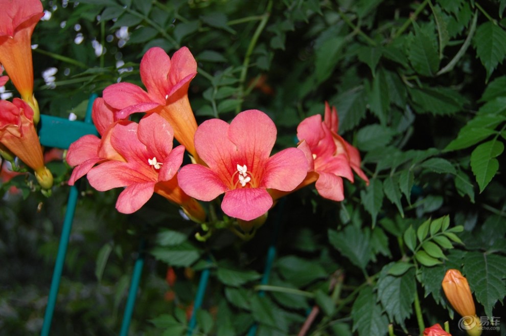 【高铁出游的吃处住处买处】_山东论坛图片集