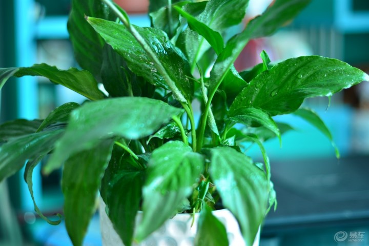 【71月3日,早上好!】_宝来论坛