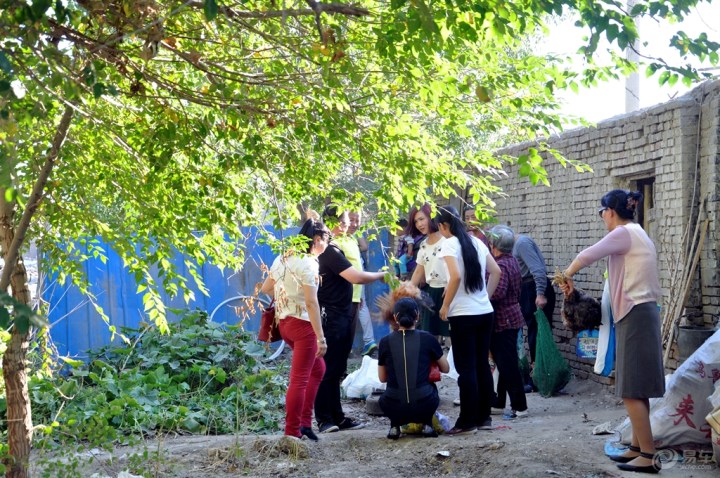 【【车行天下】活动根本停不下来,授旗,摘葡萄,买鸡,庆生百家宴】_新疆车友会_汽车论坛-易车网