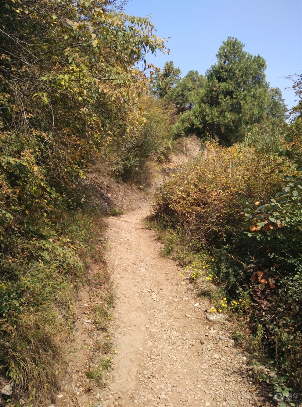 【陕西福特车队2毛照金一日游】_陕西论坛图