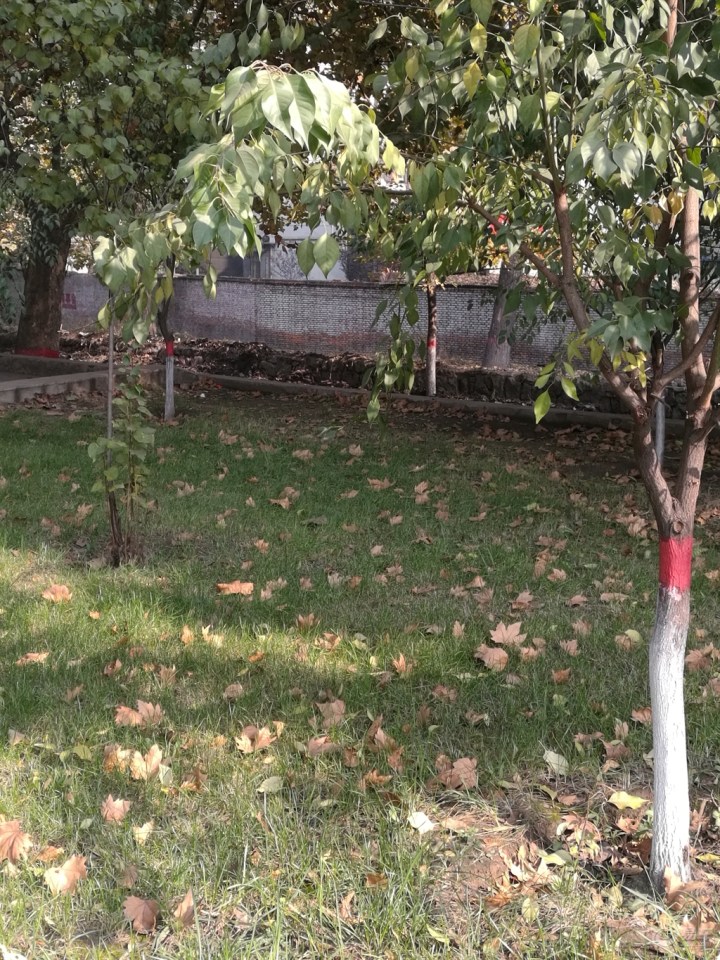 【萧瑟秋风今又是】_山西车友会