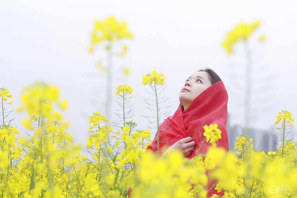 【【魅力佳人】油菜花花丛美女靓】_摄影论坛