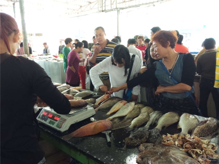 【三男两女自驾小欧环中国飞奔2500公里第一