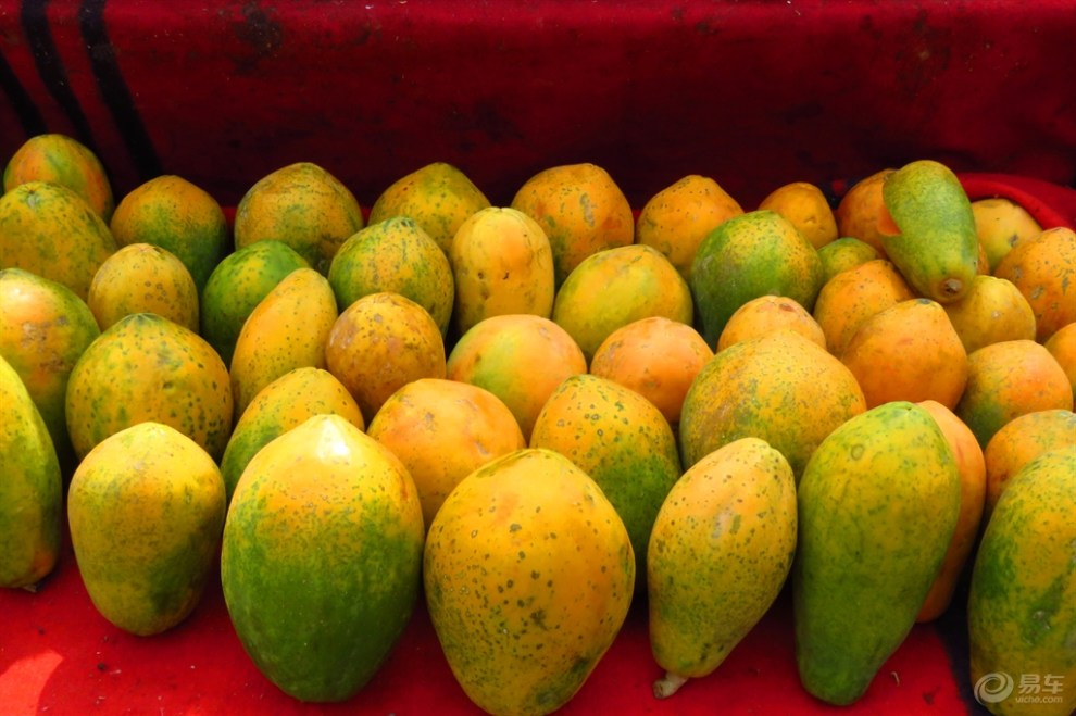 山西论坛热点图集: