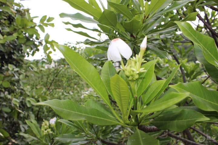 【【原图原景分享】博瑞车友自发组织自驾游活