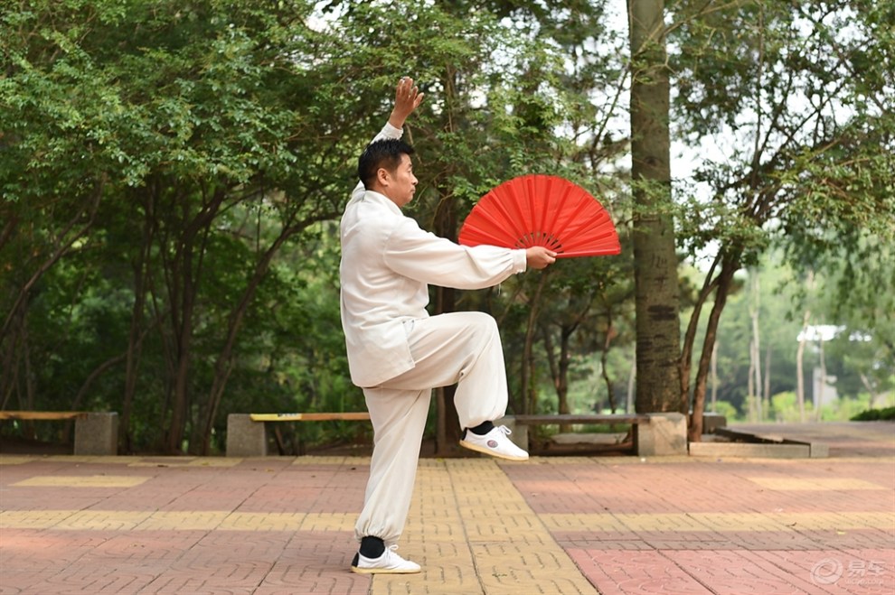 【太极功夫扇】_摄影论坛图片集锦