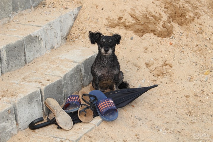 【北京逸动车友会辽宁绥中东戴河之行!】_北京