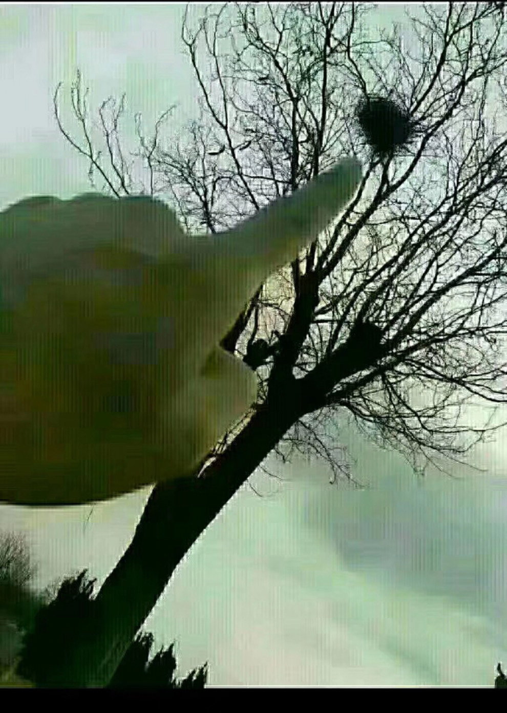 【笑话一则 此房出售】_赛欧社区图片集锦