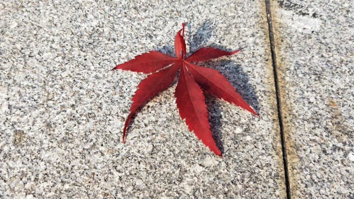 冬天,阳光和小七更配哦----CS75用车一年有感