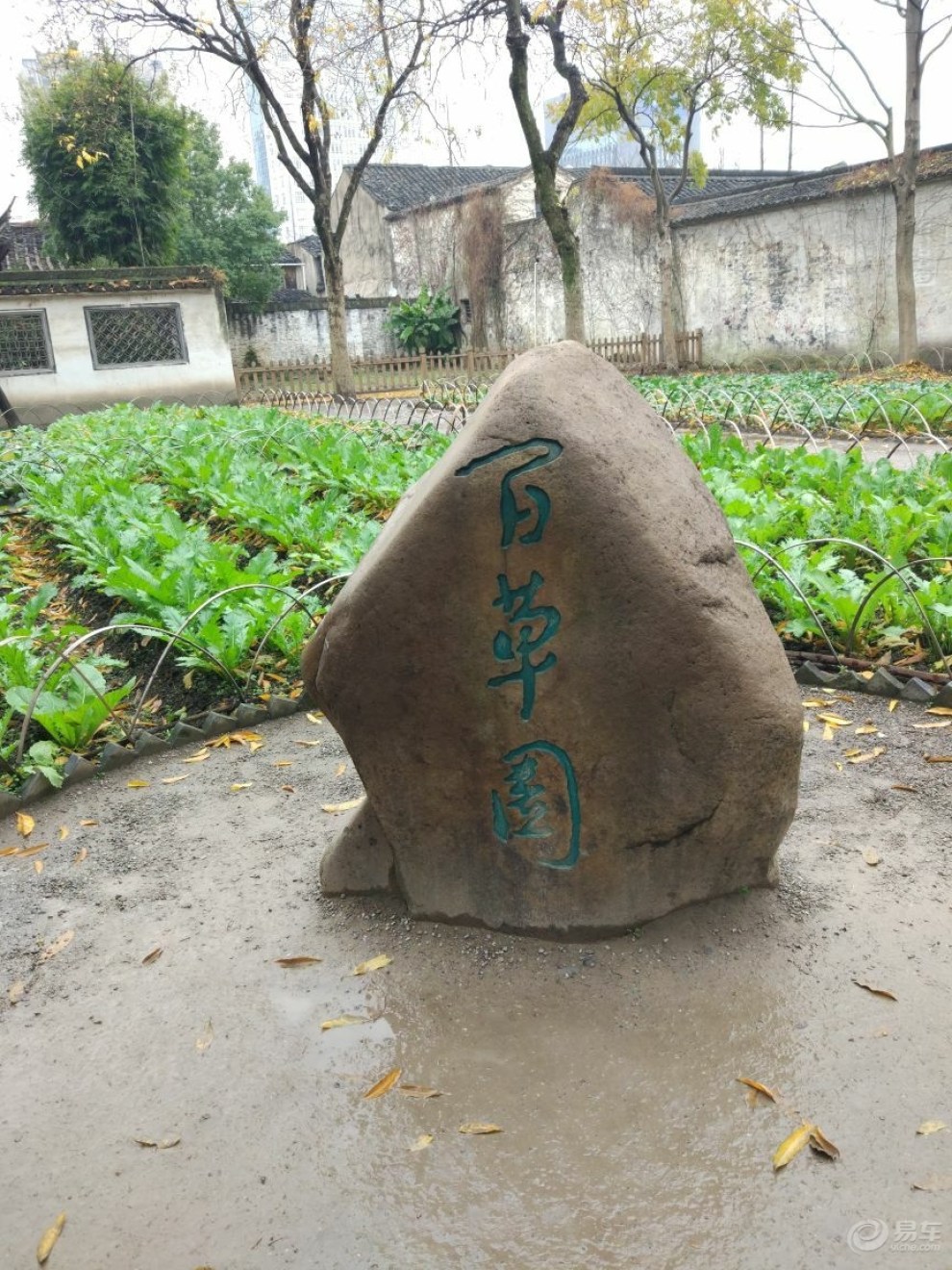 【从百草园到三味书屋,游绍兴鲁迅故里】_荣威