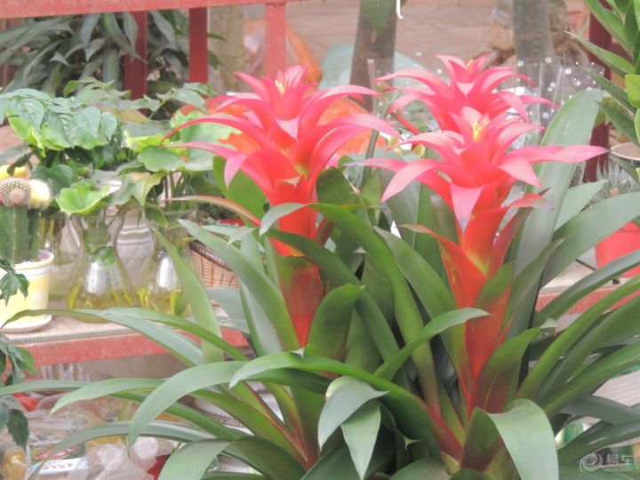 【百花丛中过 片叶不沾身】_宝来论坛_汽车论