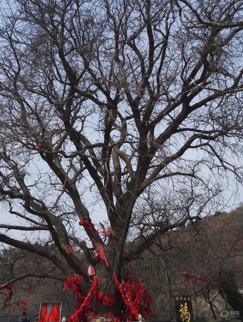 【精华帖争霸赛】忙里偷闲爱车载我们一家感受