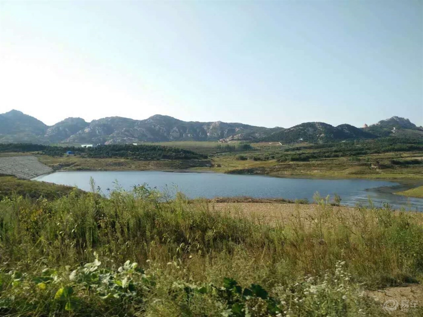 男人也是一朵花,也害怕风吹雨打-致我的爷爷