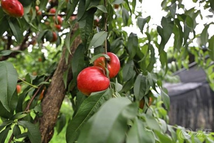9d3ef99d1e854d38b9d6c2734751b333_720_0_max_jpg.jpg