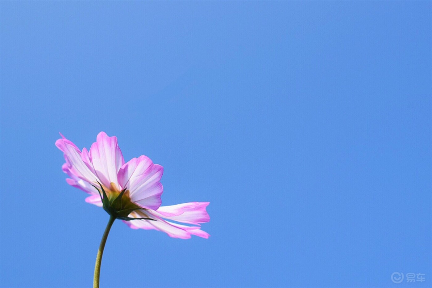 想带你去看晴空万里