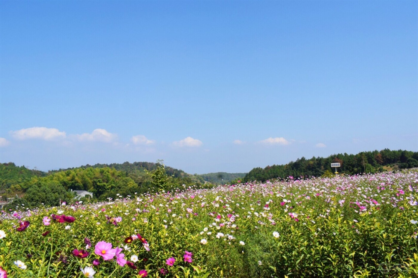 想带你去看晴空万里