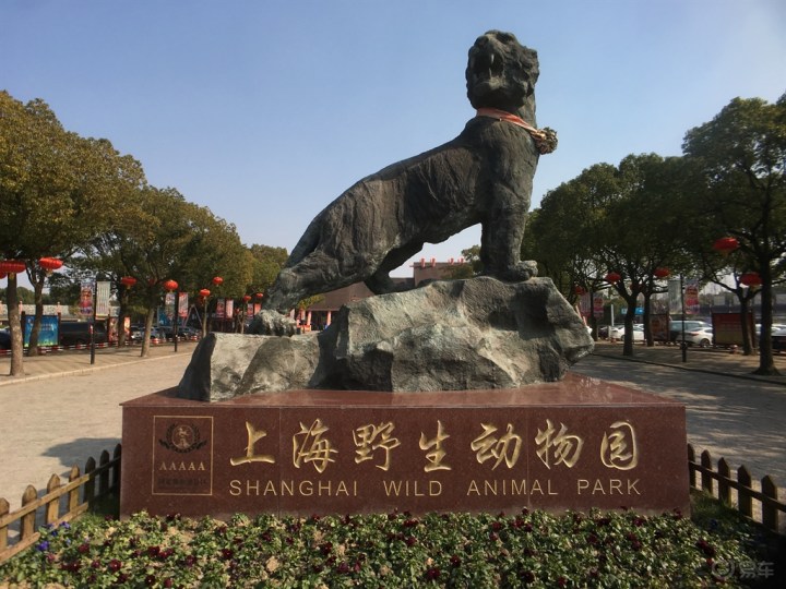 全家出行 上海野生动物园游记