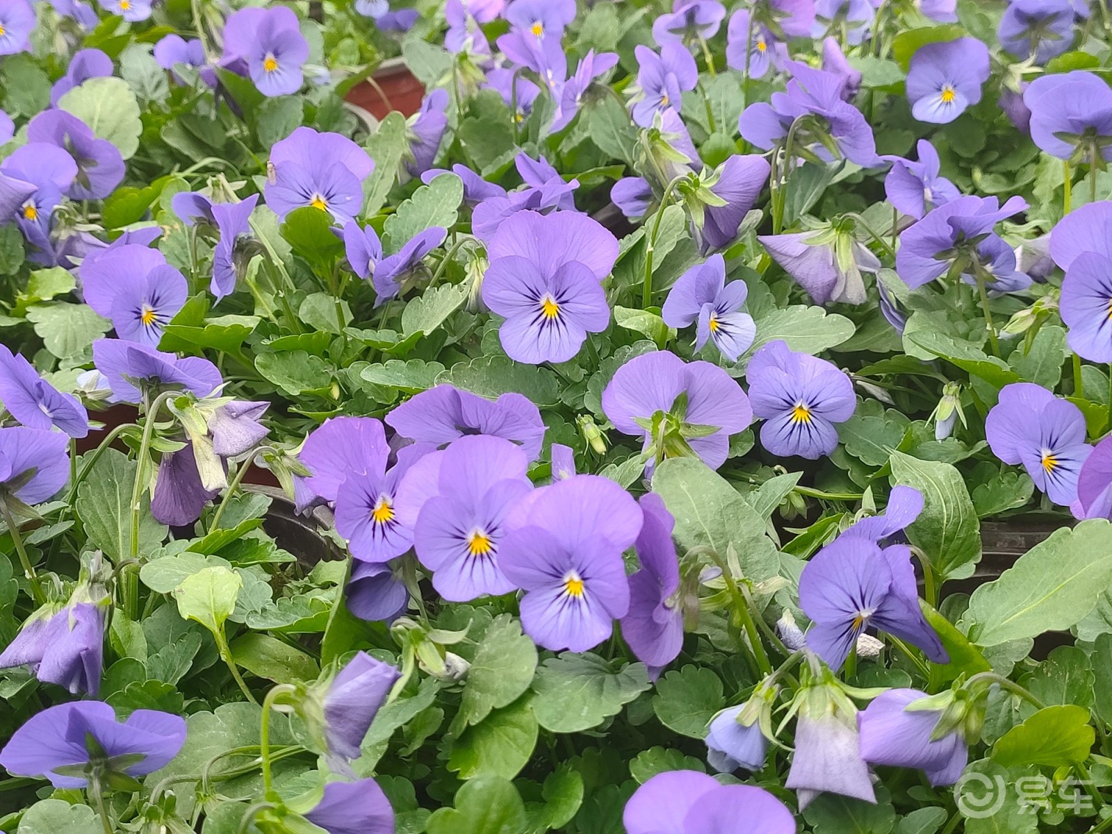 愉快的周末,故地重游