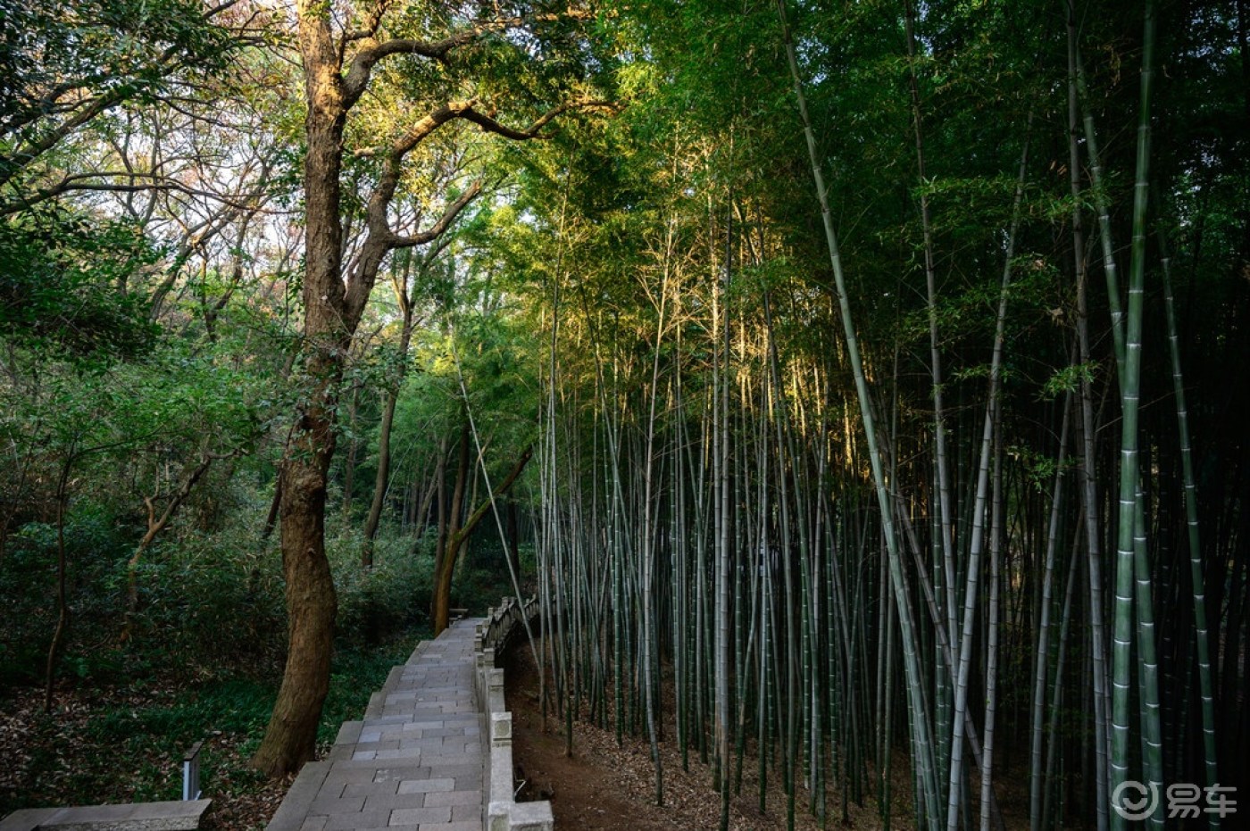 曲径通幽处 禅房花木深