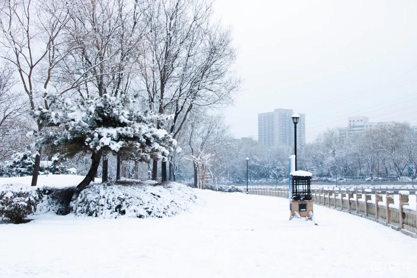 北京的雪