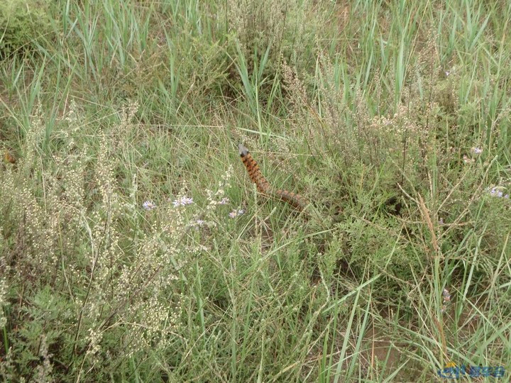 【千古烟云千古月,一枕黄粱一枕风 晋北五】_