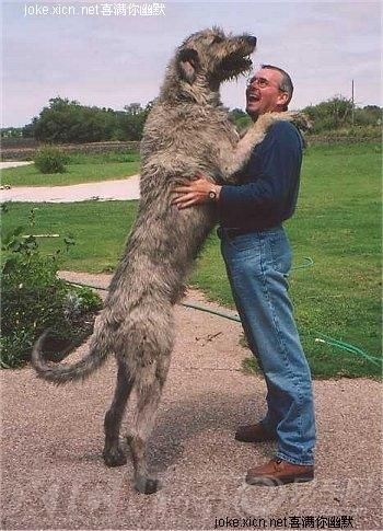 【世界之最(图)】_夏利论坛图片集锦