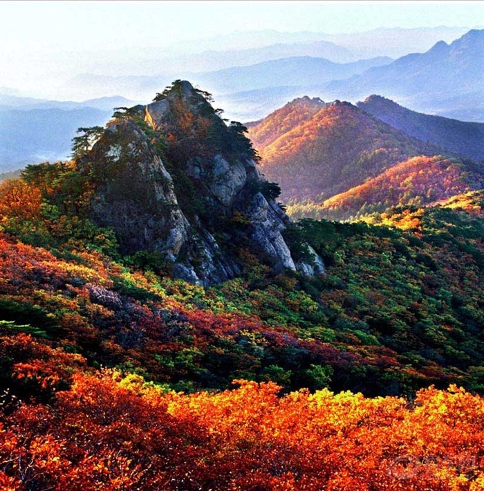 鞍山常驻人口_鞍山师范学院(2)