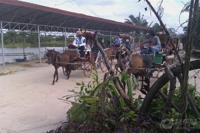【8月1号泰国曼谷,芭堤雅游记】_凯越论坛