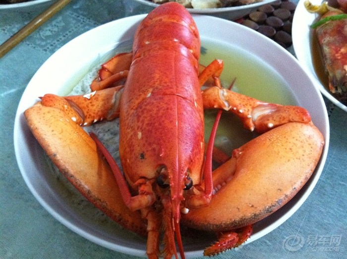 海南海鲜_海鲜火锅_海南猴岛海鲜