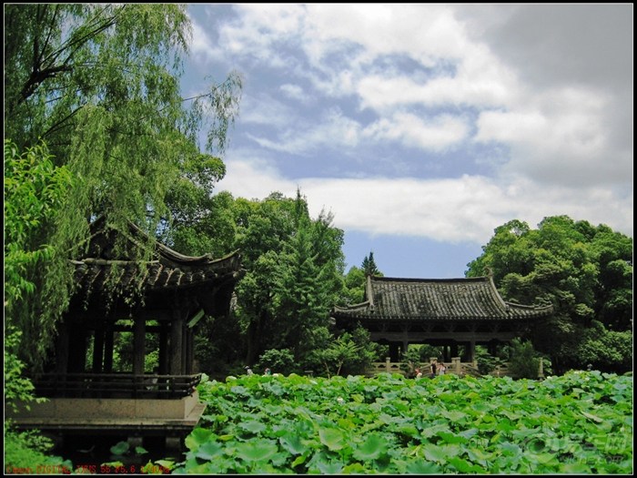 【天好继续拍沈园继续发贴,中午拍的,光线硬了