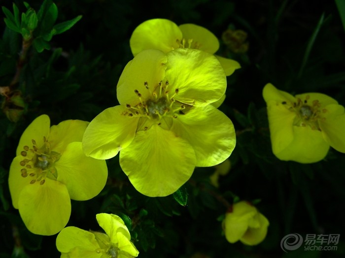 【7月20号3加1重上海坨扎营。】_冲浪手户外