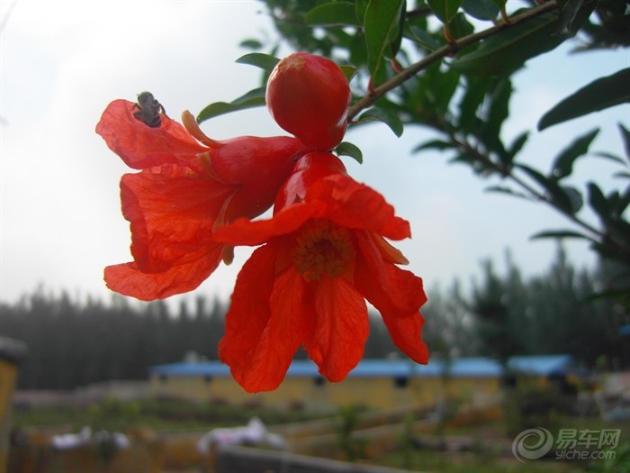 20120810_be472b01-a830-4c6c-b0a3-c5ed50f3a728_700_0_max_jpg.jpg
