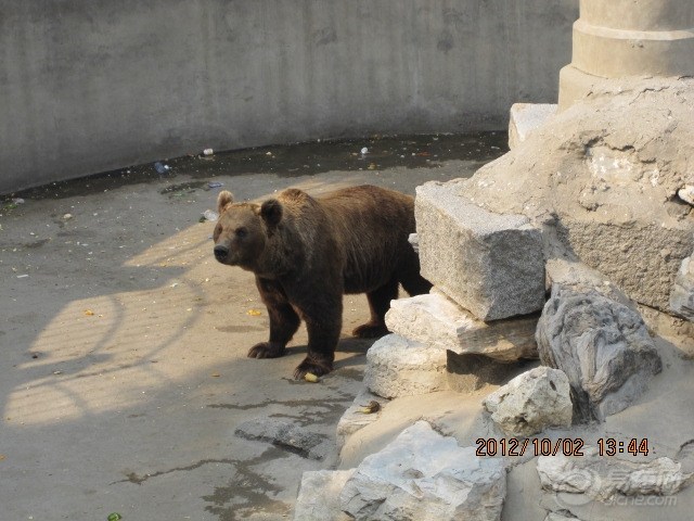 20121008_3e37e2c0-b725-4f7c-99c6-71d4c7fb1543_700_0_max_jpg.jpg