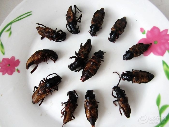 【【今天晚上吃什么】炸山水牛】_美食之旅