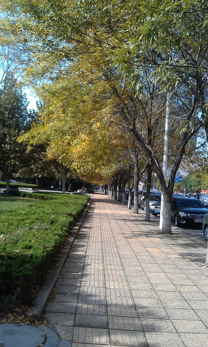 【【原创】临沂人民广场~临沂名人欣赏~~】_