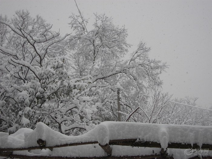 今天下雪了