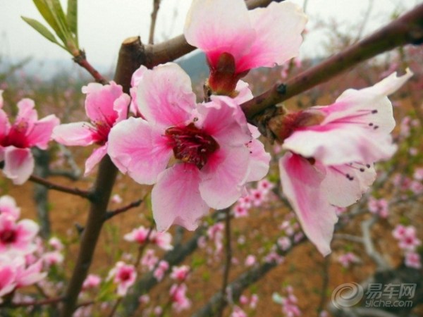 20130423_7d496f6d-6183-4332-a561-53b851cd0e43_700_0_max_jpg.jpg