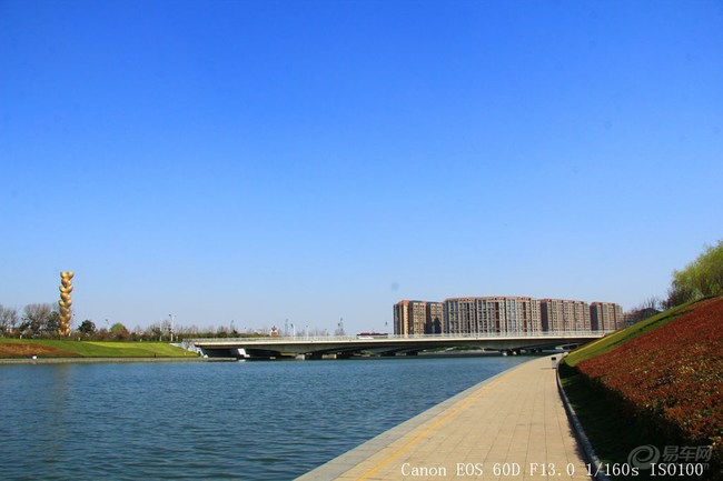 【【现场直播】蓝天 白云 鲜花 郑州东区湿地公