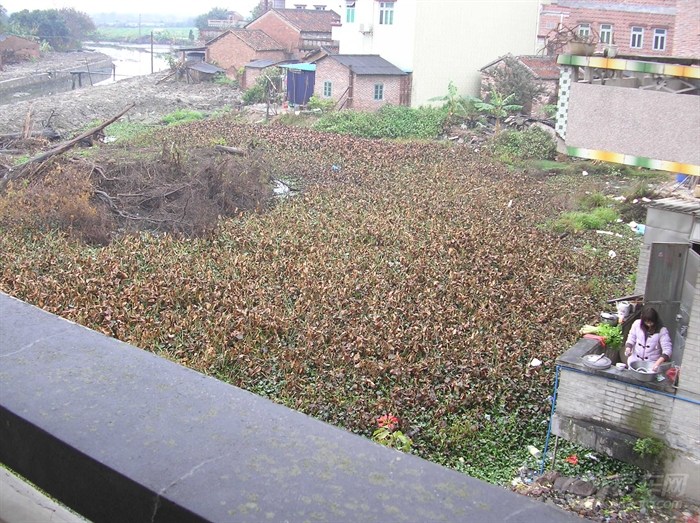 【巡逻之番乡下捉小鱼】_广东车友会