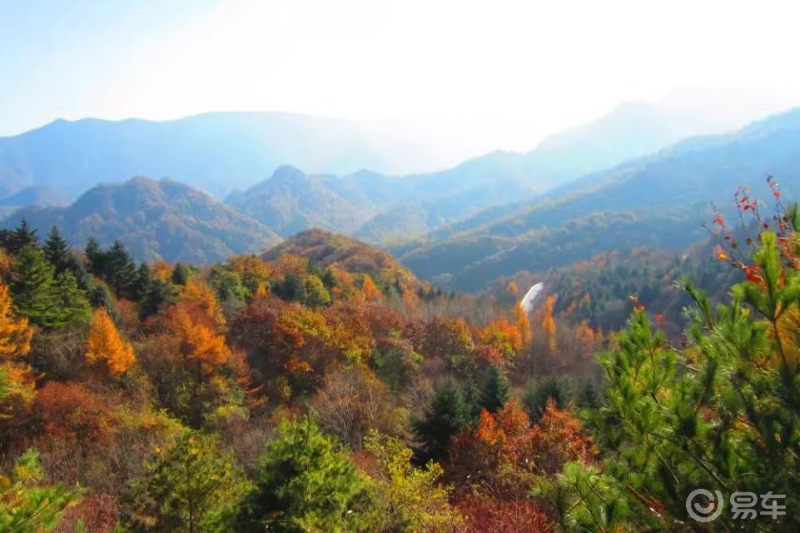 支持陝壇網紅秋色秦嶺風景區