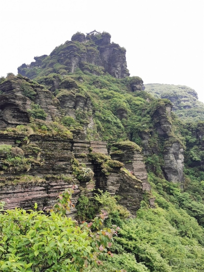 梵淨山之旅天氣超好看了雲海美景