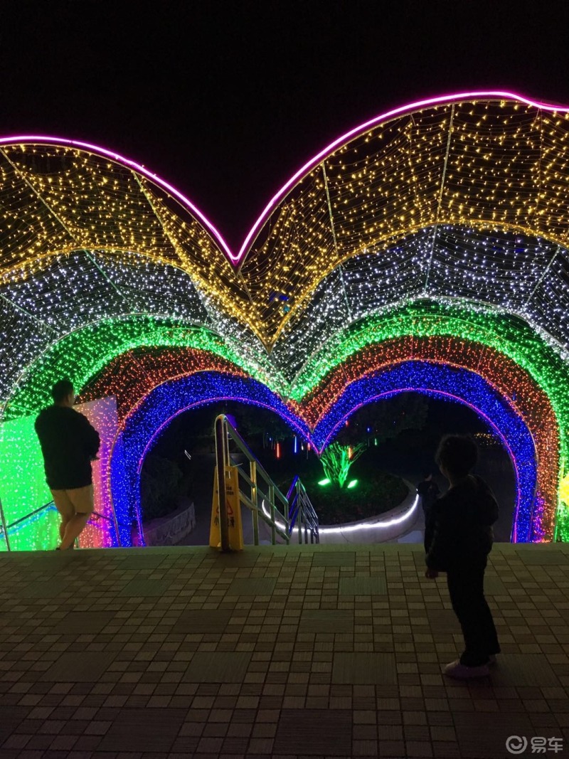 广坛贺元旦百万葵园一日游