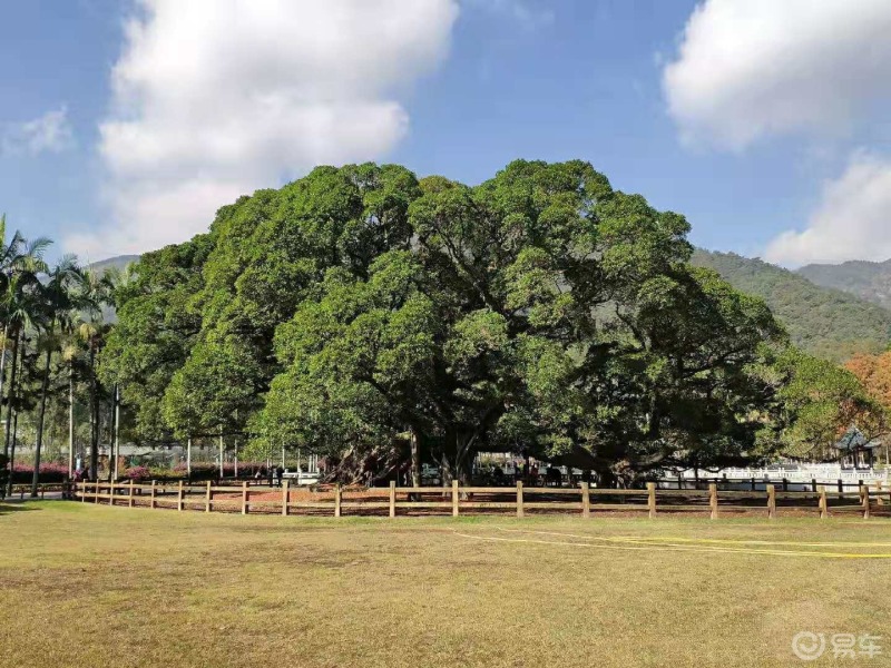 與探嶽同行之福州森林公園,喧囂城市裡的一片淨土