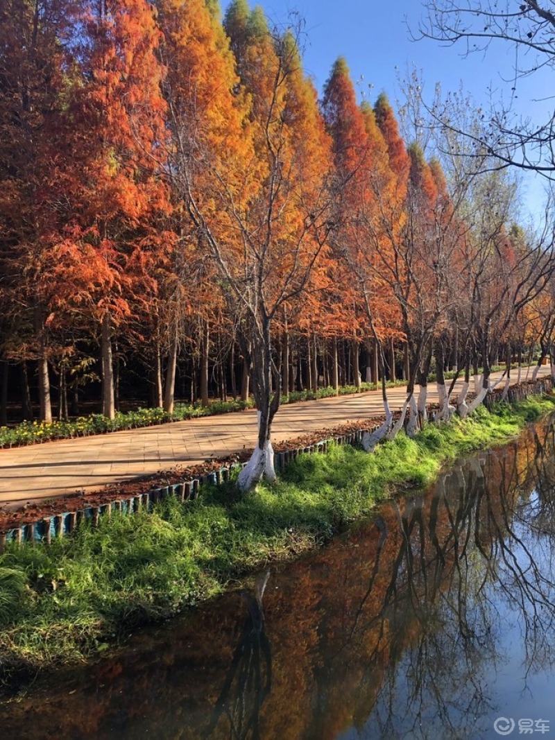 【宝来带你游云南】捞鱼河湿地公园一日游