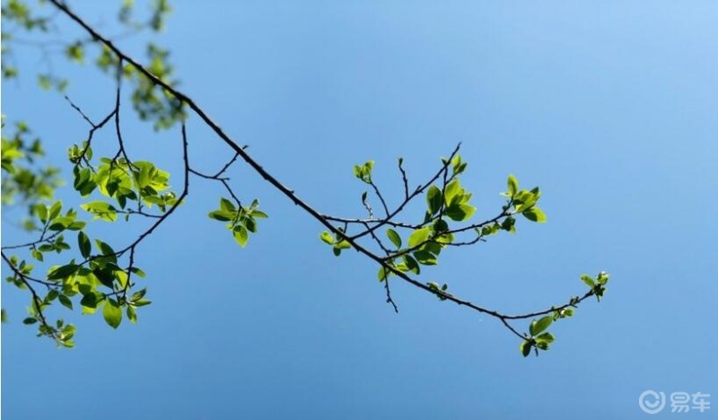 春风拂面沐浴暖阳