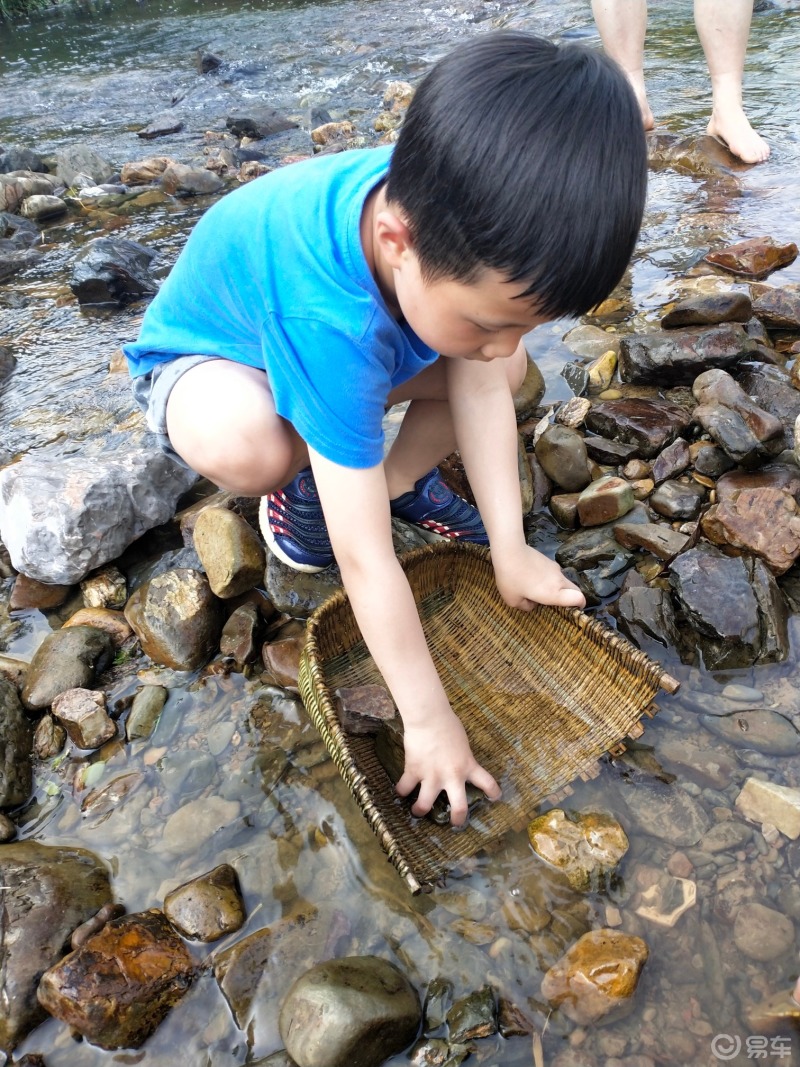 儿时的味道,河里亲子抓鱼记