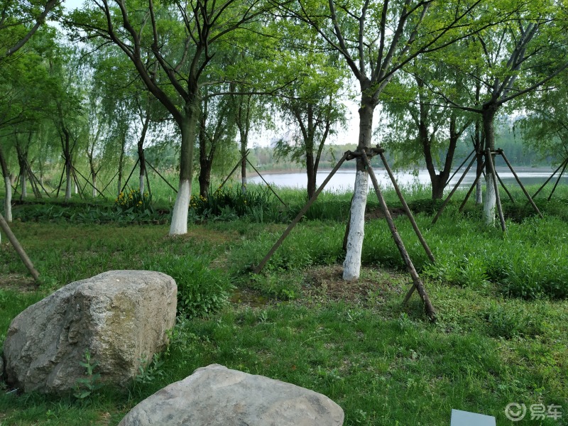 公园户外景色迷人嘉悦a5方便日常出行