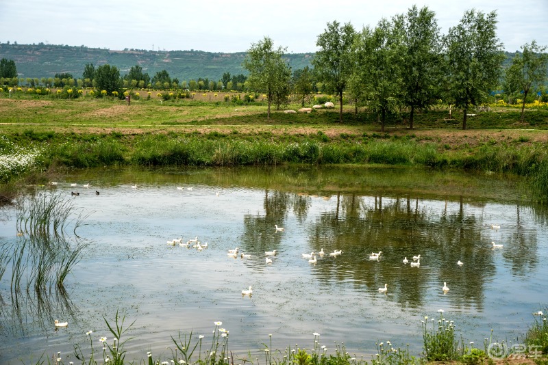 【陕西崛起】18——眉县有个龙源国家级湿地公园